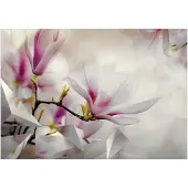 Kärkkäinen Artgeist Subtle Magnolias - Third Variant fototapetti