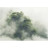 Kärkkäinen Artgeist Foggy Amazon itseliimautuva fototapetti