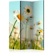 Artgeist Daisies - Spring Meadow 3-osainen sermi