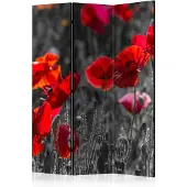 Artgeist Red Poppies 3-osainen sermi