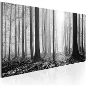 Artgeist Black and White forest taulu