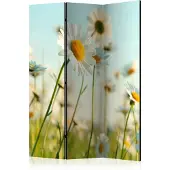 Artgeist Daisies - Spring Meadow 3-osainen sermi