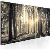 Artgeist Forest Sun taulu