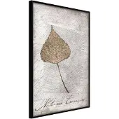 Artgeist Dried Leaf juliste