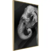 Artgeist Wisdom juliste