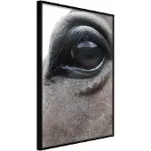 Artgeist Gentle Eyes juliste