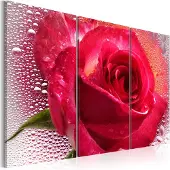Artgeist Lady Rose - Triptych taulusetti