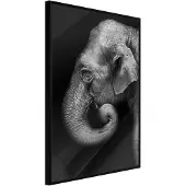 Artgeist Wisdom juliste