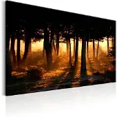 Artgeist Forest Dawn taulu
