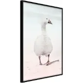Artgeist Walking Goose juliste