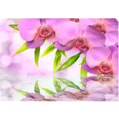 Artgeist Orchids In Lilac Colour fototapetti