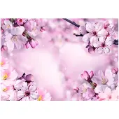 Kärkkäinen Artgeist Say Hello To Spring fototapetti
