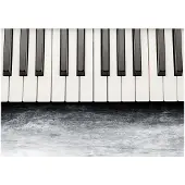 Artgeist Inspired By Chopin - Grey Stone fototapetti