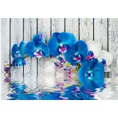 Artgeist Cobaltic Orchid fototapetti