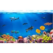 Kärkkäinen Artgeist Underwater kingdom itseliimautuva fototapetti