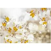 Kärkkäinen Artgeist Sunny Alstroemeria fototapetti