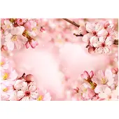 Kärkkäinen Artgeist Magical Cherry Blossom itseliimautuva fototapetti