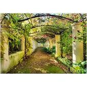 Artgeist Pergola fototapetti