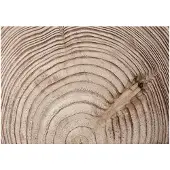 Kärkkäinen Artgeist Wood Grain fototapetti