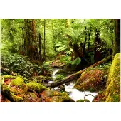Kärkkäinen Artgeist Forest Brook itseliimautuva fototapetti