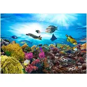Kärkkäinen Artgeist Coral Reef fototapetti