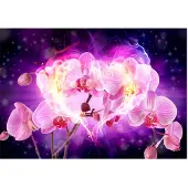 Artgeist Orchids In Flames fototapetti