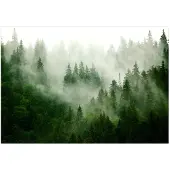 Kärkkäinen Artgeist Mountain Forest (Green) itseliimautuva fototapetti