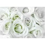 Kärkkäinen Artgeist Satin Rose (Green) itseliimautuva fototapetti