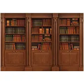 Kärkkäinen Artgeist Elegant Library itseliimautuva fototapetti