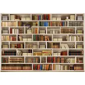 Kärkkäinen Artgeist Home library itseliimautuva fototapetti