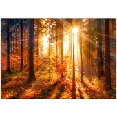 Kärkkäinen Artgeist Autumnal Time itseliimautuva fototapetti