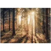 Kärkkäinen Artgeist Autumnal Forest itseliimautuva fototapetti