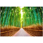 Kärkkäinen Artgeist Bamboo Forest itseliimautuva fototapetti