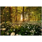 Kärkkäinen Artgeist Forest flora itseliimautuva fototapetti