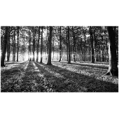 Artgeist Grey Wilderness II itseliimautuva fototapetti