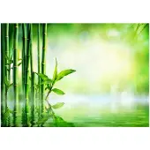 Kärkkäinen Artgeist Bamboo Grove itseliimautuva fototapetti