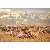 Artgeist Zebra Land fototapetti