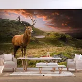 Artgeist Deer on Hill itseliimautuva fototapetti