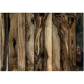 Artgeist Olive Wood fototapetti