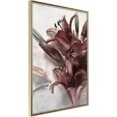 Artgeist Burgundy Solace juliste