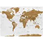 Artgeist World Map: White Oceans fototapetti