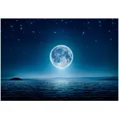 Artgeist Moonlit night itseliimautuva fototapetti