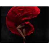 Artgeist Flamenco tanssija fototapetti