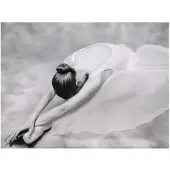 Artgeist photo: ballerina fototapetti
