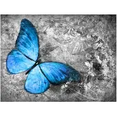 Artgeist Blue butterfly fototapetti