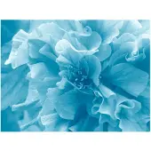 Artgeist Blue azalea fototapetti