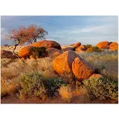Artgeist Afrikkalainen maisema, Namibia fototapetti