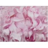 Artgeist azalea (pink) fototapetti
