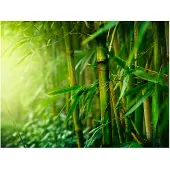 Artgeist jungle - bamboo fototapetti