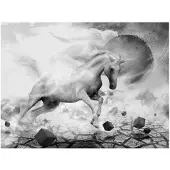 Artgeist Unicorn fototapetti